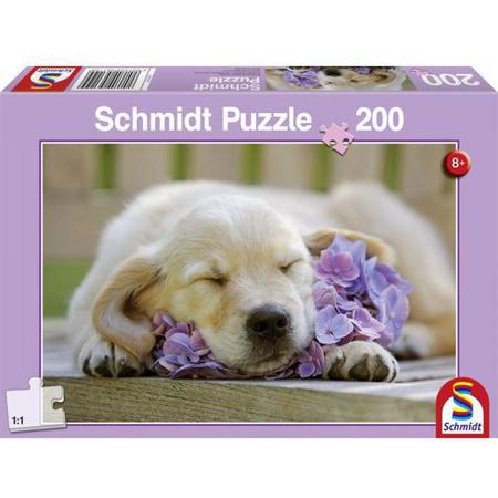 Schmidt Puzzel - Uren van de slaap