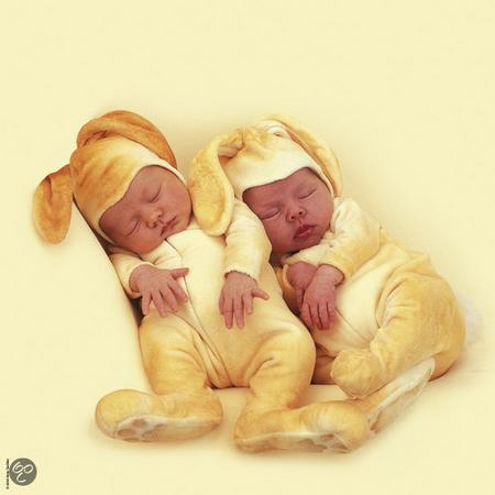 Schmidt Puzzel: Anne Geddes - Baby Bunnies
