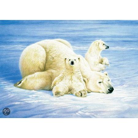 Schmidt Puzzel: Joh Naito - IJsberen