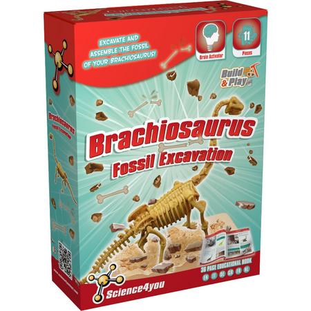 Science 4 You Brachiosaurus Fossil Excavation - Experimenteerset