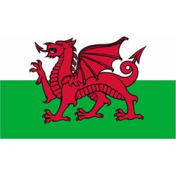 Senvi Printwear - Flag Wales - Grote Wales vlag - Gemaakt Van 100% Polyester - UV & Weerbestendig - Met Versterkte Mastrand - Messing Ogen - 90x150 CM - Fair Working Conditions