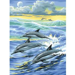 Schilderen Op Nummer - Dolfijn
