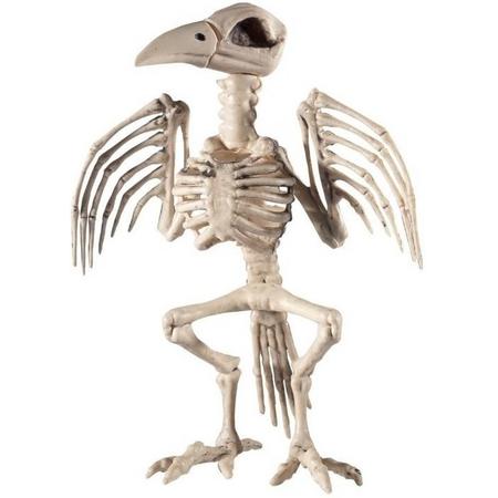 Raaf skelet halloween/horror decoratie 30 cm
