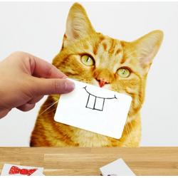 Suck Uk Foto-props Cat Snaps 17,5 Cm Papier Wit