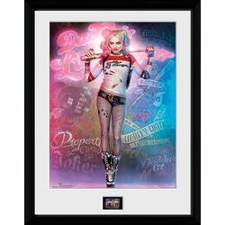 Suicide Squad Harley Quinn Stand - Collector Print
