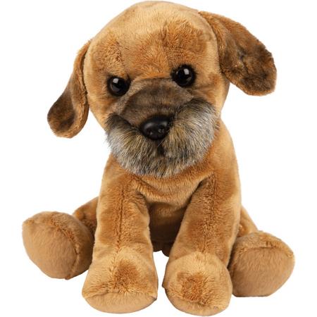 Pluche knuffel dieren Border Terrier hond 22 cm - Speelgoed knuffelbeesten - Honden soorten
