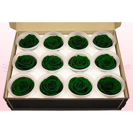 Echte rozen - Kleur Donker Groen - Maat M, 12 rozen - 100% natuurlijk