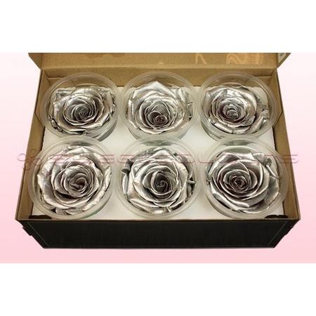 Echte rozen - Kleur Metallic  zilver Maat XL, 6 rozen - 100% natuurlijk