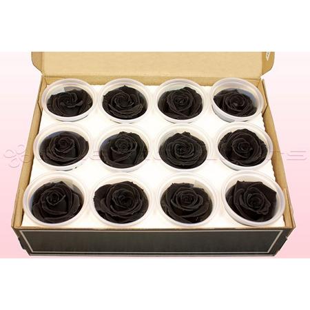 Echte rozen - Kleur Zwart - Maat M, 12 rozen - 100% natuurlijk