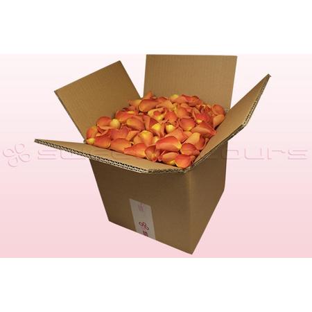 Echte rozenblaadjes - Kleur Donker Oranje -  8 liter doos - 100% natuurlijk