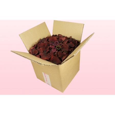 Geconserveerde rozenblaadjes - Chocolade 8 liter doos
