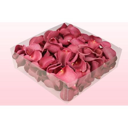Gevriesdroogde rozenblaadjes - Magenta 2 liter doos