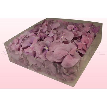 Hortensiablaadjes - Kleur Lavendel-2 liter doos - 100% natuurlijk