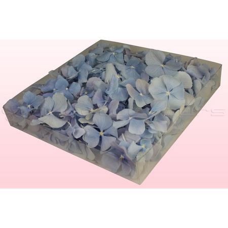 Hortensiablaadjes - Kleur Licht Blauw - 1 liter doos - 100% natuurlijk