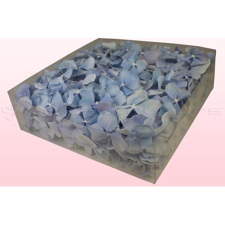 Hortensiablaadjes - Kleur Licht Blauw - 2 liter doos - 100% natuurlijk