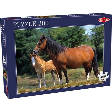 Horses - 200 stukjes