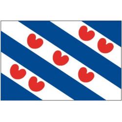 Stijlvolle Provincievlag Friesland Bootvlag 30x45 - Talamex