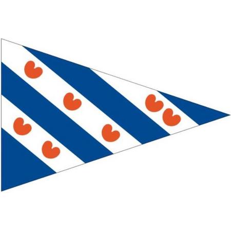 Stijlvolle Provincievlag Friesland Puntvlag Bootvlag 30x45 - Talamex