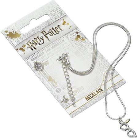 Harry Potter Silver Plated Lightning Bolt with Glasses necklace