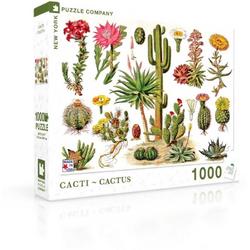 Cacti ~ Cactus