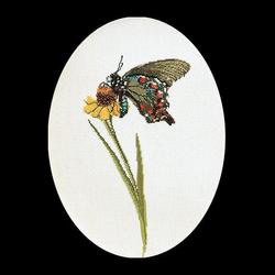 1020A Vlinder Bruin-Groen Borduurpakket