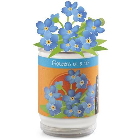 Flower in a tin - bloem  uit een pot - laat zelf een bloem groeien - set van 3 stuks