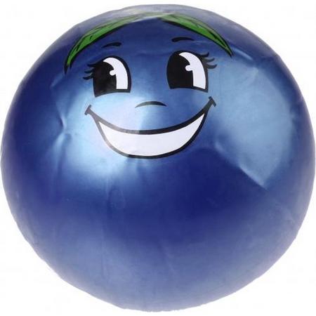 Toyrific Bal Fruitface Junior 25 Cm Blauw