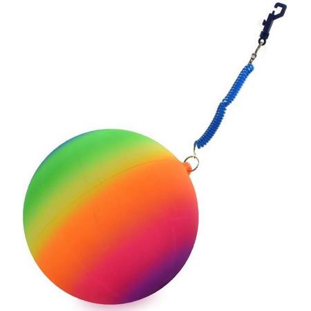 Regenboogbal met koord 24 cm groot - Techniekbal - 1 bal