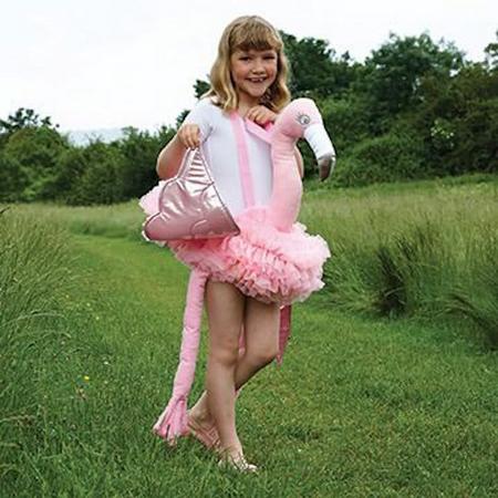 Ride on Flamingo