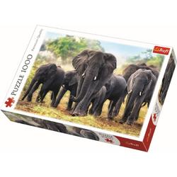 African elephants / Trefl - 1000 pcs Legpuzzel