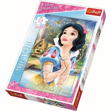 Maxipuzzel 24 pcs - Dreaming / Disney Princess Legpuzzel