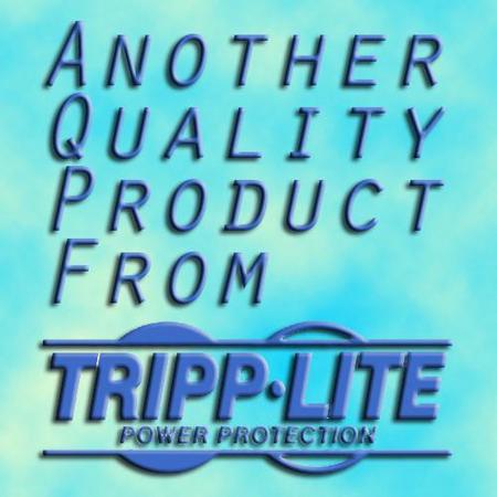 Tripp-Lite U444-06N-VGUB-C USB 3.1 Gen 1 USB-C to VGA Adapter with USB-A, USB-C PD Charging & Gigabit Ethernet, Thunderbolt 3 Compatible, 1080p, Black TrippLite