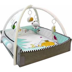 Tryco 5-in-1 Ball Play Activity Gym Lovely Park