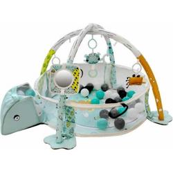 Tryco Ball Pit Activity Gym -Frog