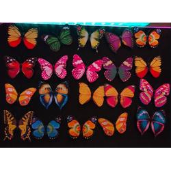 3D Magnetische Vlinders - Muurdecoratie - 20 stuks standaard set