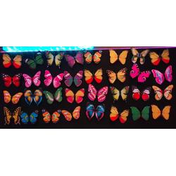 3D Magnetische Vlinders - Muurdecoratie - 32 stuks standaard set