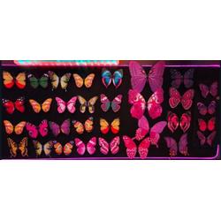 3D Magnetische Vlinders Muurstickers - Muurdecoratie - 32 stuks Delux set