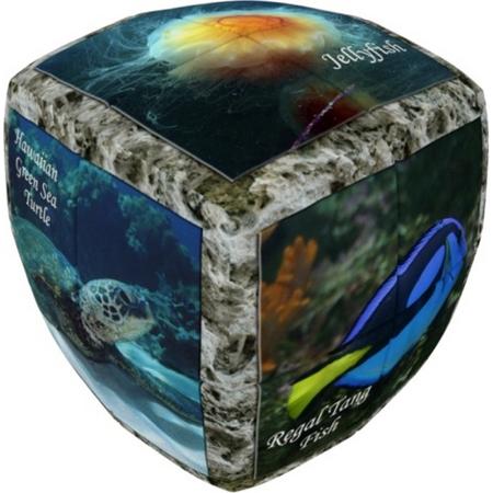V-cube Breinbreker 3 Sea World 5 Cm