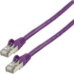 FTP CAT 6 netwerk kabel 0,25 m paars