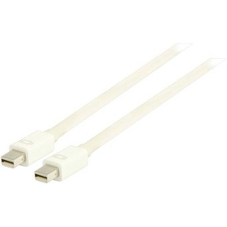 Mini DisplayPort mannelijk - Mini DisplayPort mannelijk 1,00 m wit