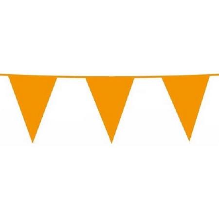 Vlaggenlijn Oranje 10m 30x45cm