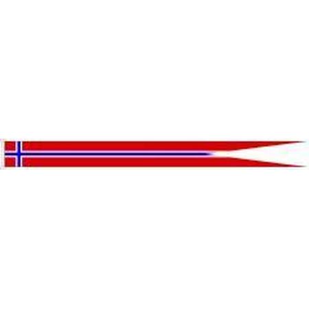 Noorse wimpel Noorwegen 25x300cm met stokje