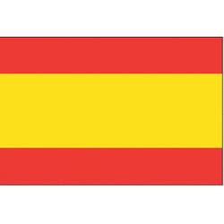 Vlaggetje Spanje 20x30cm