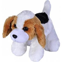 Pluche Beagle honden knuffel 18 cm - knuffeldier