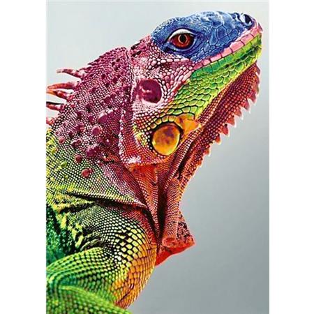 Diamond Painting Iguana