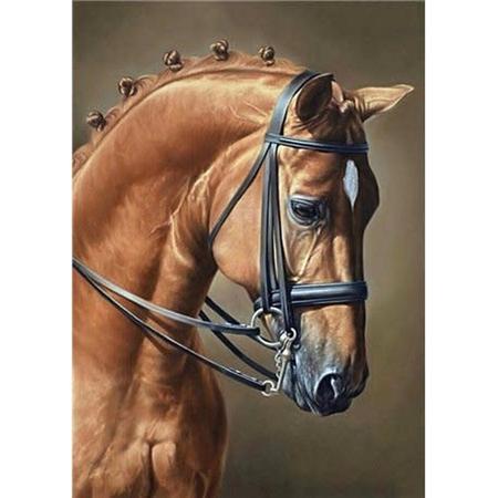Diamond painting - Horse Jumping 27x38 cm