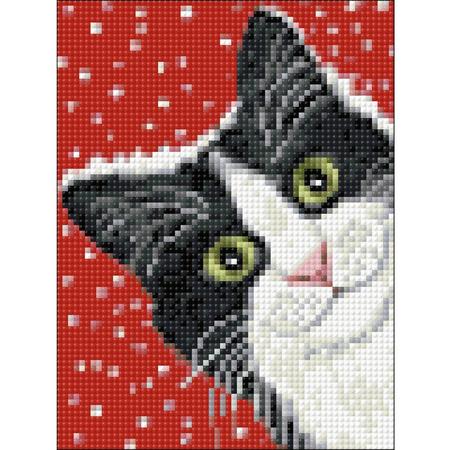 Wizardi Diamond Painting Kit Holiday Cat WD2432