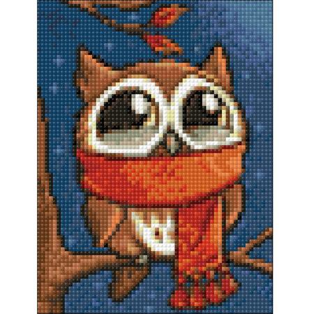 Wizardi Diamond Painting Kit Owlet with Scarf WD2363