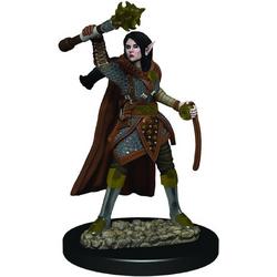 D&D Icons of the Realms Elf Cleric, Female