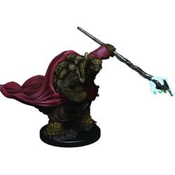 D&D Icons of the Realms Tortle Monk, Male